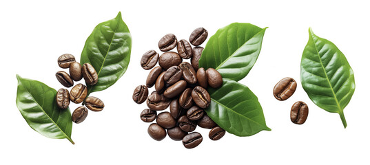 coffee grains and green leaves
