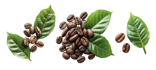 coffee grains and green leaves