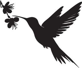 Flying hummingbirds silhouette isolated on white background