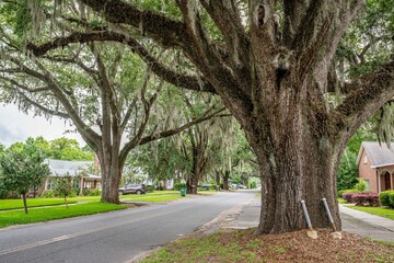 chattahoochee, Florida