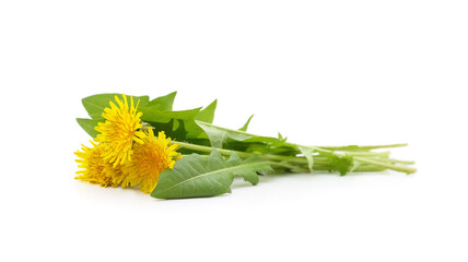 Fototapeta premium Bouquet of dandelion.