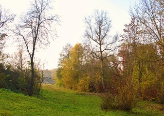 Autumn landscape with trees, beautiful rural meadow, pasture