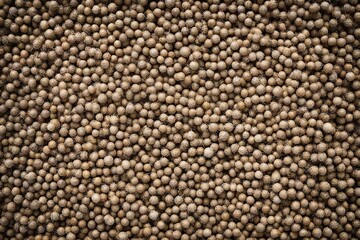 close up of a carpet