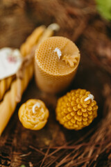 Handmade candles from natural beeswax in the shape of flowers, cones and others on an old stump in the forest. Hobby.Small business.Artistic photo of beekeeping products against the backdrop of nature