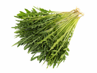 ハーブ　セルバチコ