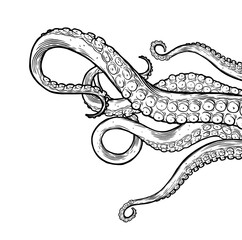 Octopus tentacles reaching upwards, squid-like marine animal body parts protruding from out of frame. Retro vintage hand drawn illustration.  © Very Well Studio