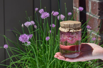 Closeup woman's hand holding glass jar with homemade chive blossom vinegar infusion
