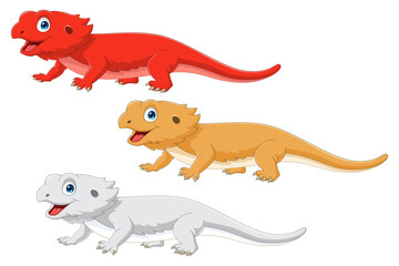 types of cartoon bearded dragon on white background