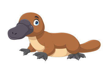 Cartoon platypus isolated on white background