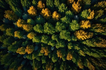 Naklejka premium green moss on the stone