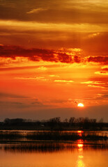 Morning Glow: Northern Havelland's Rivers Meet in Germany