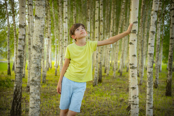 A young boy in a light green shirt gazes upward while holding onto a birch tree in a serene forest. The background features numerous birch trees, creating a peaceful and natural environment.