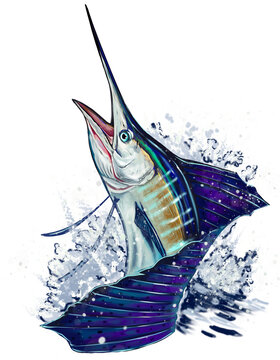 pez vela saltando