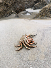 Aktueller Klimawandel in Europa