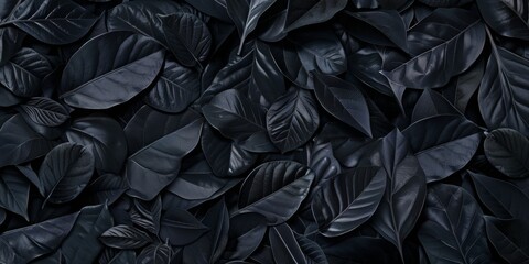 Fototapeta premium abstract black tropical leaf textures for dark nature background flat lay 