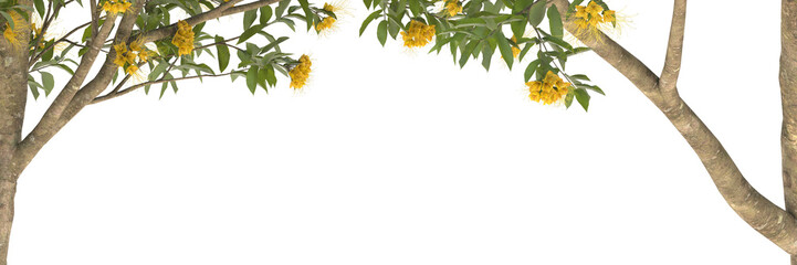 tree branches with green leaves and yellow flowers