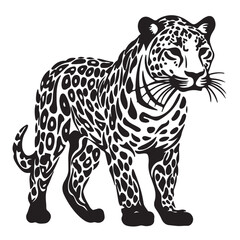 Cheetah Vector Art