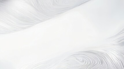 Fototapeta premium white feather background