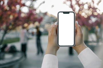 Close-up of woman taking photo of sakura flowers with mobile phone