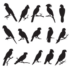Parrot Silhouette Vector Set