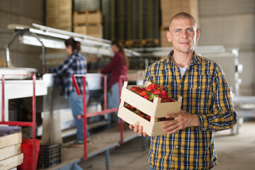 Portrait of positive man farmer standing with box of freshly harvested strawberry at fruits sorting...