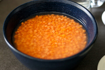 Close up of soaked red lentils in a blue bowl on grey kitchen table
