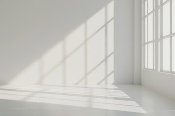 bright room.  sunlight from a large window. Copy space 