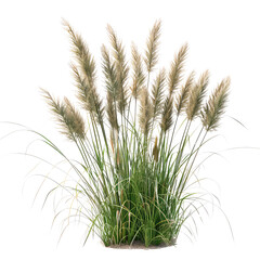 Reed Grass, Generative AI