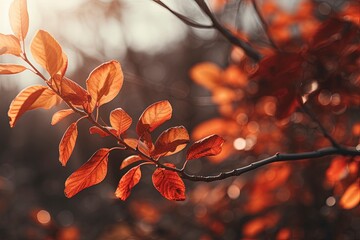 autumn leaves in the forest, generative ai