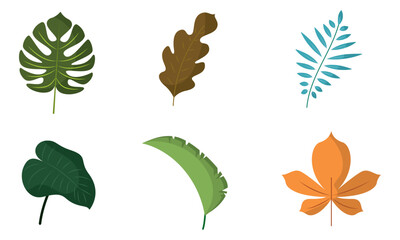 Colored leaves Icons set Vector
