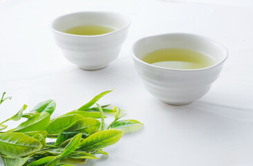 茶葉　新茶