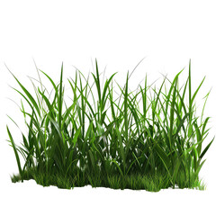 Reed Grass, Generative AI