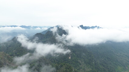 fog in the mountains