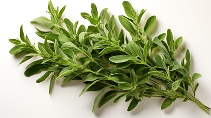 Fototapeta premium Culinary Delights: Fresh Green Ingredients for Flavorful and Healthy Meals