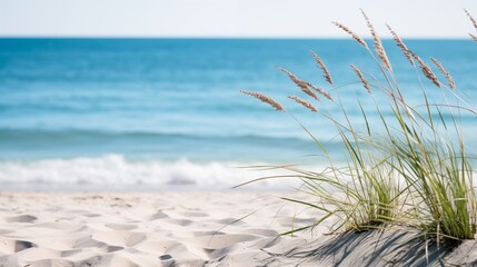 Serene beach scene with sand dunes, grasses, and calm ocean waves