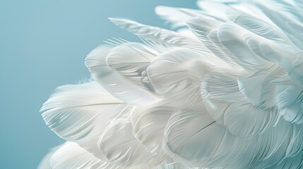 Fototapeta premium Detailed close-up of white goose feathers, fully in focus against a light blue background, isolated background, studio lighting
