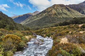 Arthur's Pass in New Zealand, river and shrubs landscape