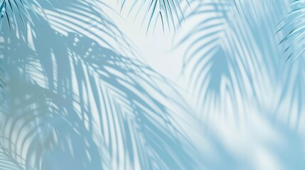 Blurred shadow from palm leaves on light cream wall. Minimalistic beautiful summer spring background for product presentation. 