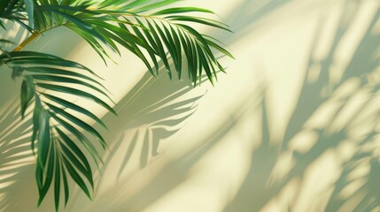 Blurred shadow from palm leaves on light cream wall. Minimalistic beautiful summer spring background for product presentation. 