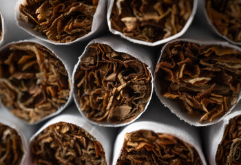 Close-up shot of tobacco leaves inside several cigarettes