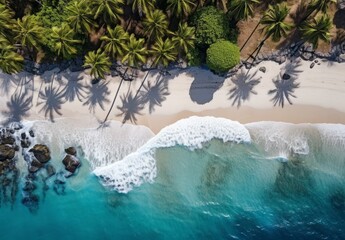 Aerial Elegance White Sands and Blue Seas Beneath Tree Canopy.jpeg