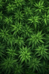 Nature's Palette Rich Dark Green Leaves Adorning Your Wallpaper.