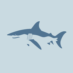 Obraz premium Shark Vector Illustration Marine, Predator, Ocean, Teeth, Icon
