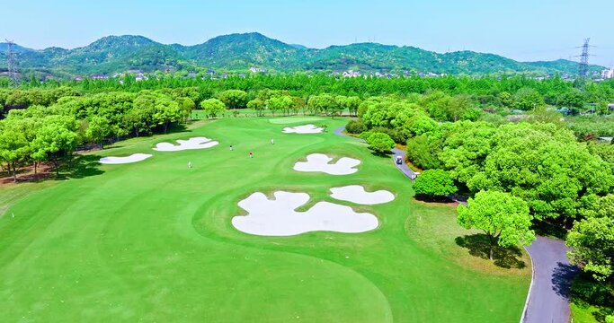 Aerial view of green grass and trees on a golf fields. green golf course in summer.
