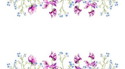 Beautiful banner, hand drawn purple violet pink red sweet pea flowers and forgive me nots. Perfect for wallpapers, web page backgrounds, surface textures, textile. Isolated on white background.