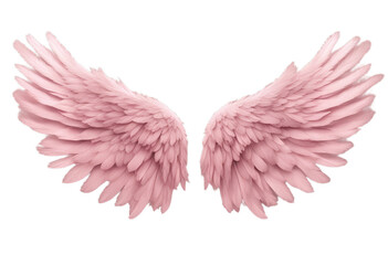 fly wings shape freedom graphic background beautiful png element detailed elegance feather art pastel drawing symbol decorative 2 fantasy pink bird wing 