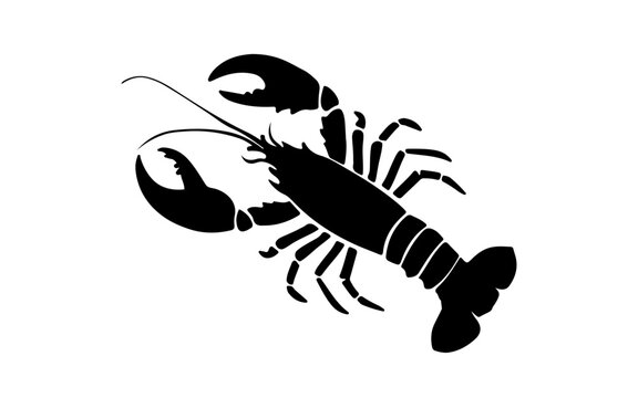 Lobster Silhouette Icon on White Background. Vector