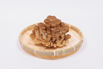 しめじ Shimeji muchroom