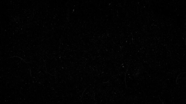 black and white dust looping animated background