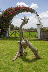 Decorative tree trunk in home garden